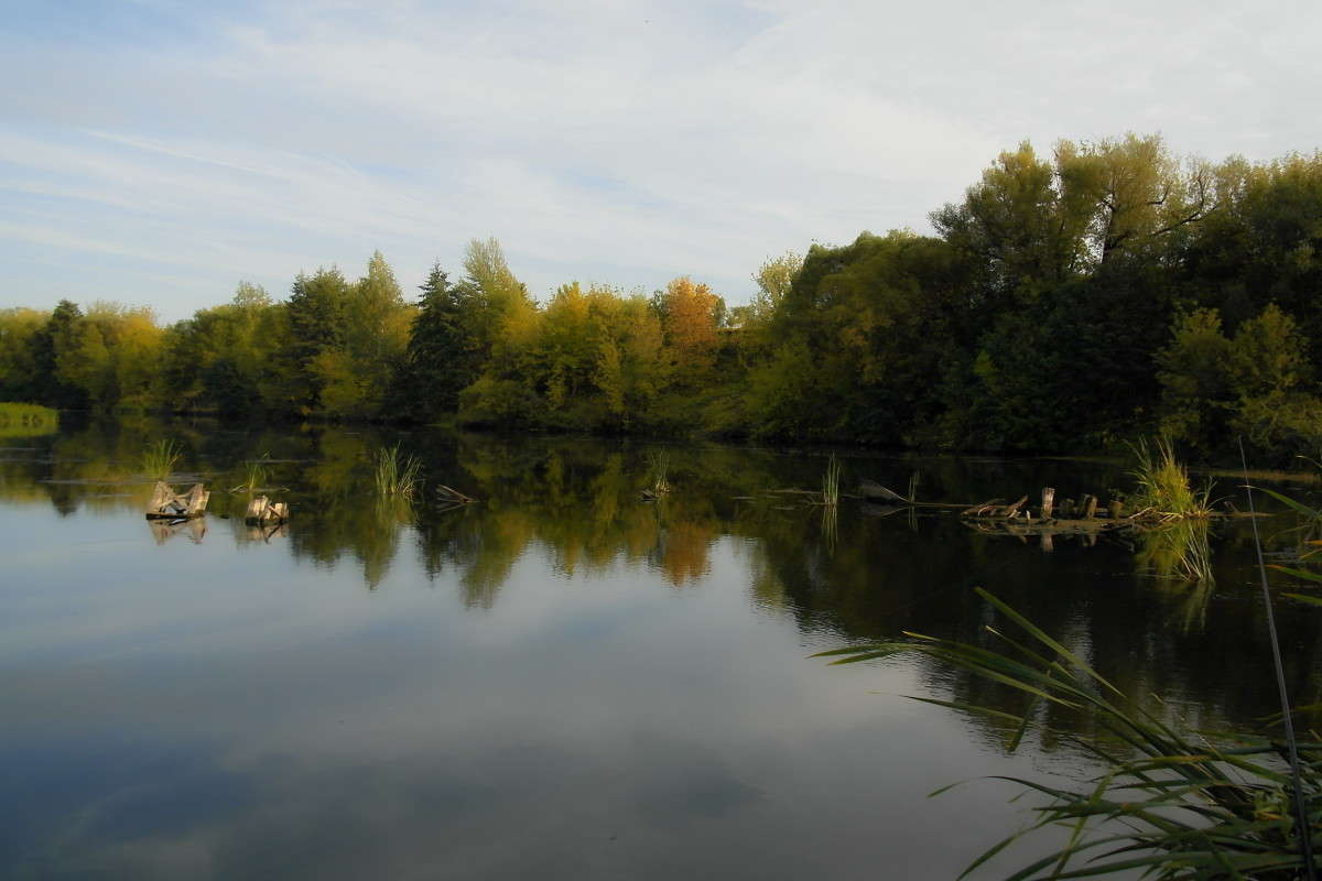 .... ����� vladimir tamoza �� PhotoGeek.ru #������ ��� ������� #��������� #������