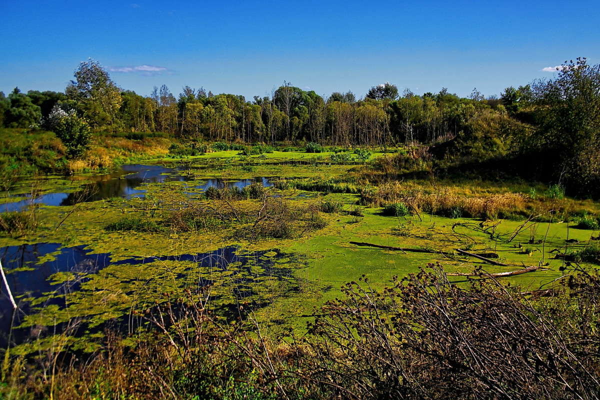 ������ ������... ����� vladimir tamoza �� PhotoGeek.ru #������ ��� ������� #��������� #������ #����� ��������