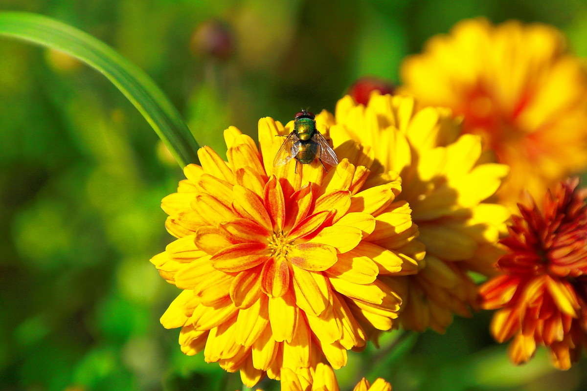 ... ����� vladimir tamoza �� PhotoGeek.ru #����� �������������� #��������� #������