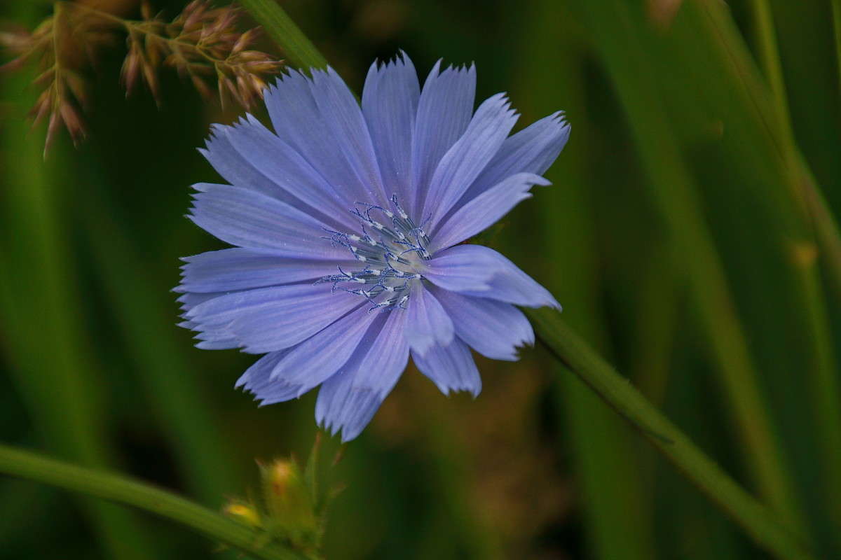 �������... ����� vladimir tamoza �� PhotoGeek.ru #����� �������������� #��������� #������