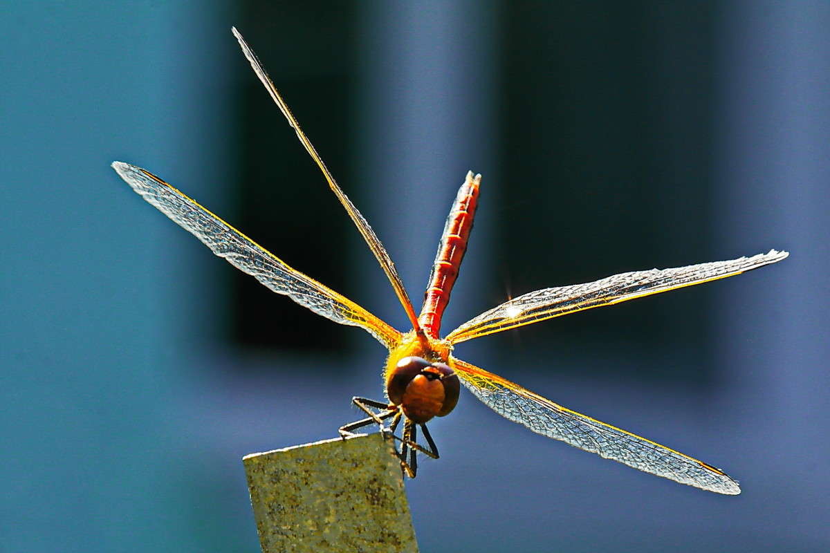 � ������ �����.... ����� vladimir tamoza �� PhotoGeek.ru #����� #�������� ��� #��������� #������