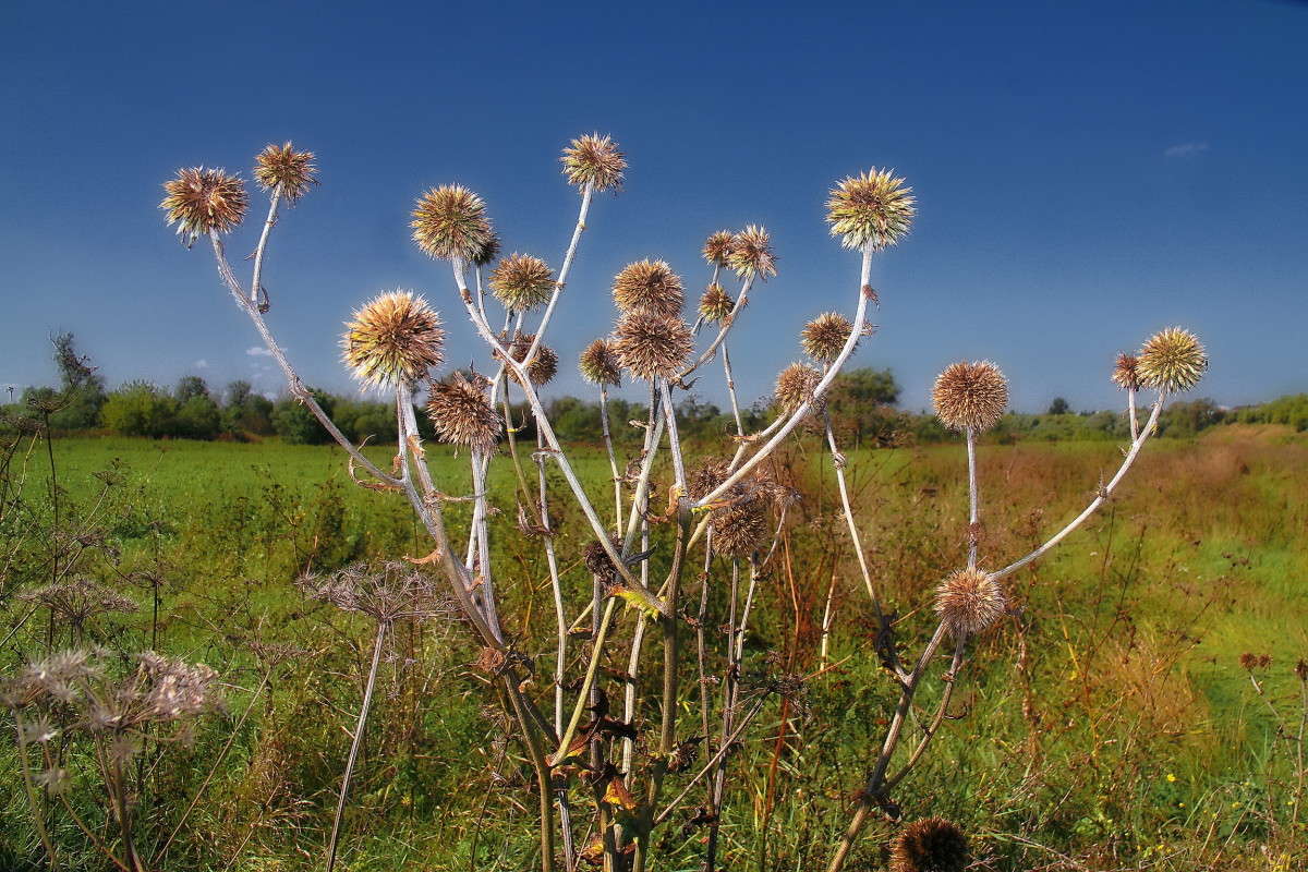 ... ����� vladimir tamoza �� PhotoGeek.ru #������ ��� ������� #��������� #������
