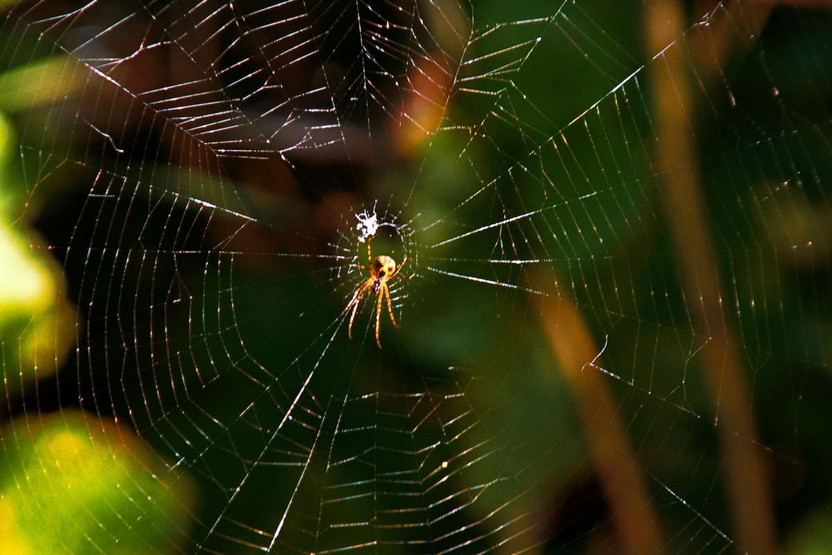 �������.... ����� vladimir tamoza �� PhotoGeek.ru #�������� ��� #��������� #������