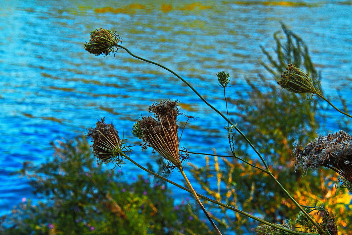 ... ����� vladimir tamoza �� PhotoGeek.ru #������ ��� ������� #����� �������������� #��������� #������