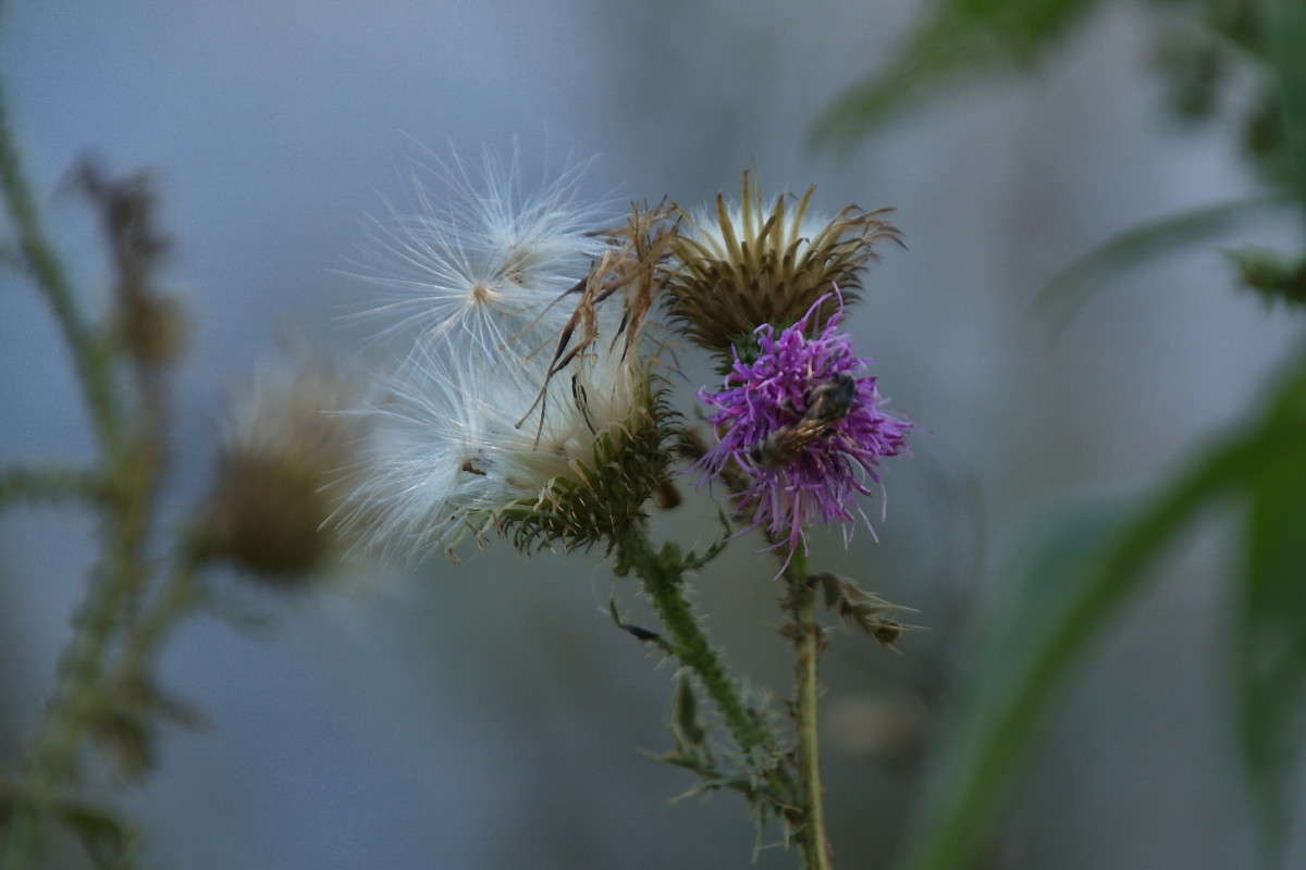 ... ����� vladimir tamoza �� PhotoGeek.ru #����� �������������� #��������� #������