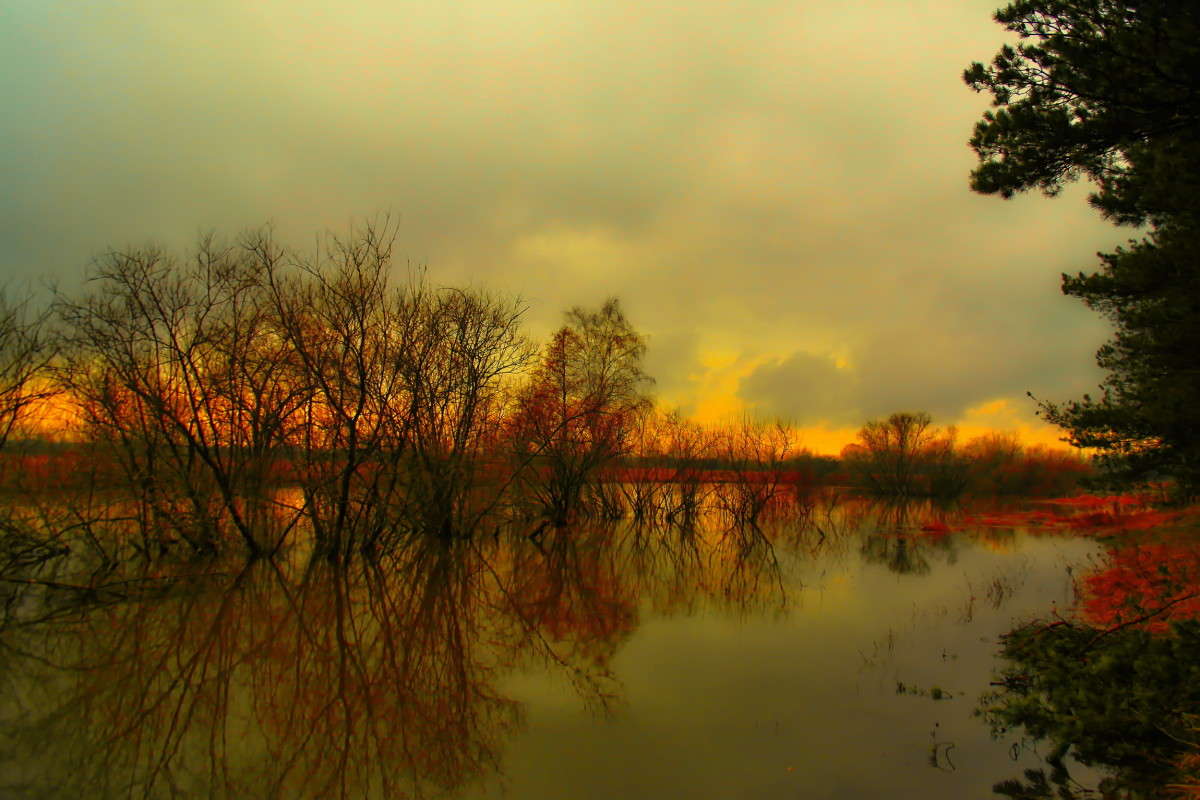 ... ����� vladimir tamoza �� PhotoGeek.ru #������ ��� ������� #��������� #������