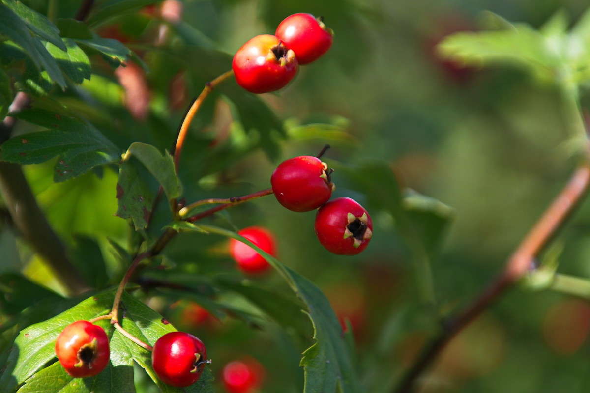 ... ����� vladimir tamoza �� PhotoGeek.ru #����� �������������� #��������� #������