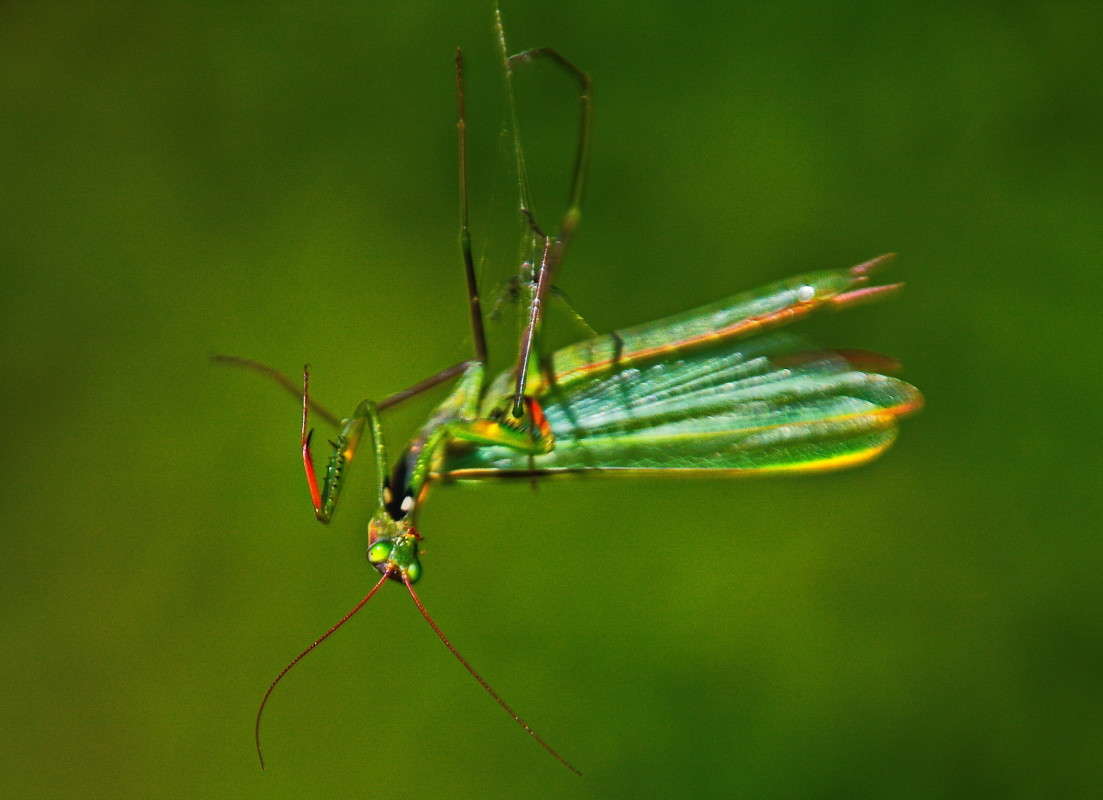 � �������... ����� vladimir tamoza �� PhotoGeek.ru #�������� ��� #��������� #������ #����� ��������