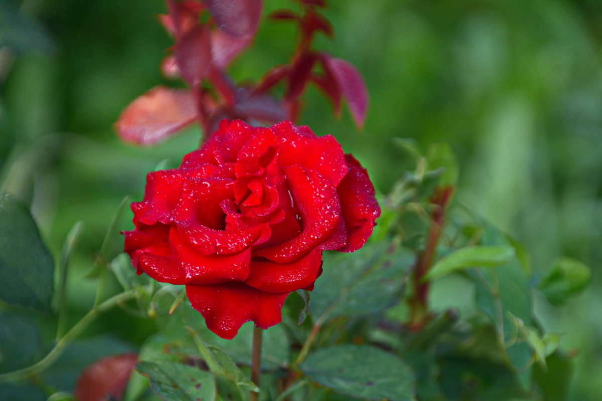 ... ����� vladimir tamoza �� PhotoGeek.ru #����� �������������� #��������� #������