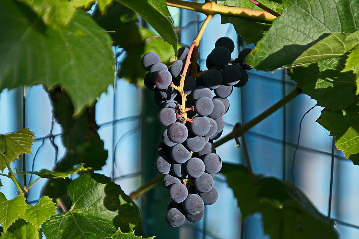  ����� vladimir tamoza �� PhotoGeek.ru #����� �������������� #��������� #������