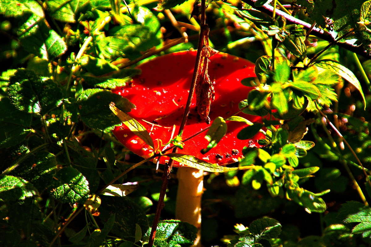 ... ����� vladimir tamoza �� PhotoGeek.ru #����� �������������� #��������� #������