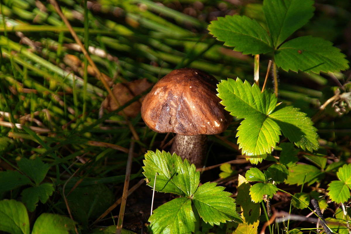 � ������������ ���� ... ����� vladimir tamoza �� PhotoGeek.ru #��������� #������ #����� ��������