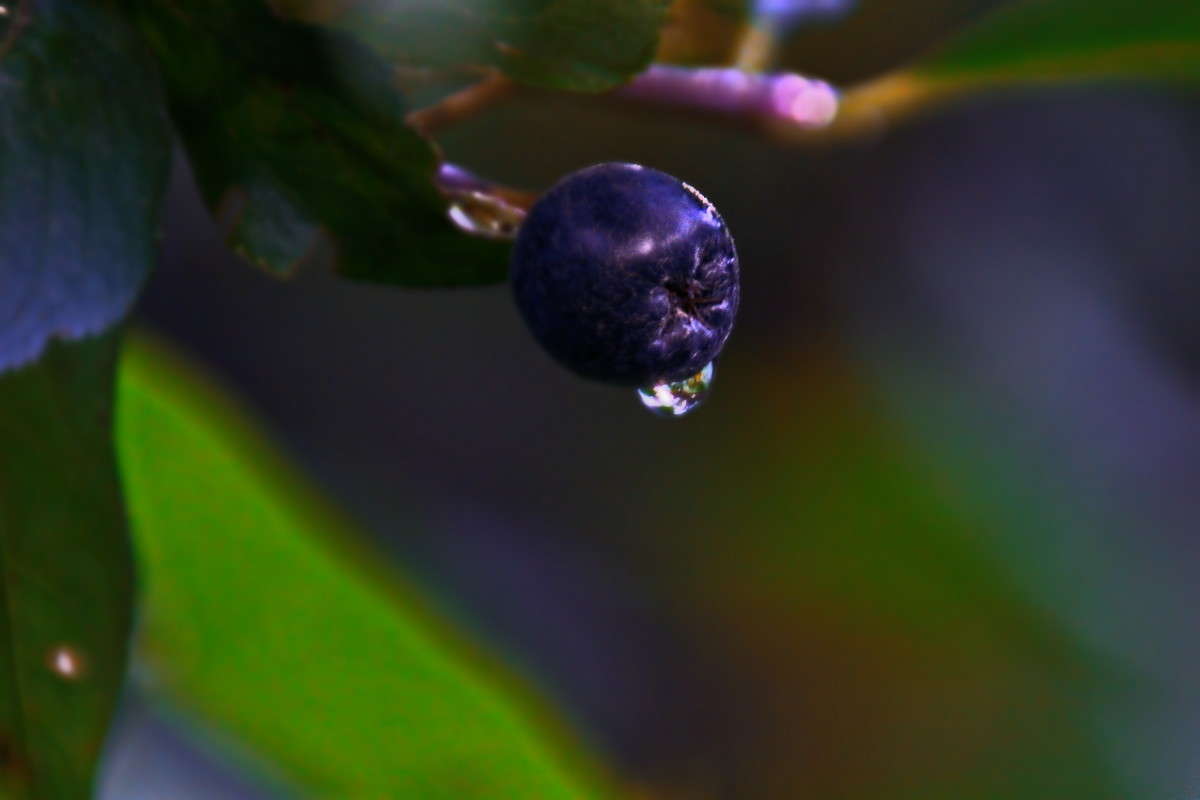 ������ .. ����� vladimir tamoza �� PhotoGeek.ru #����� �������������� #��������� #������