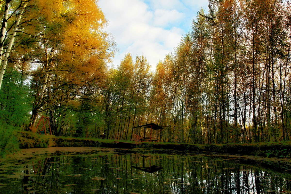 ������� ���������� ... ����� vladimir tamoza �� PhotoGeek.ru #������ ��� ������� #��������� #������