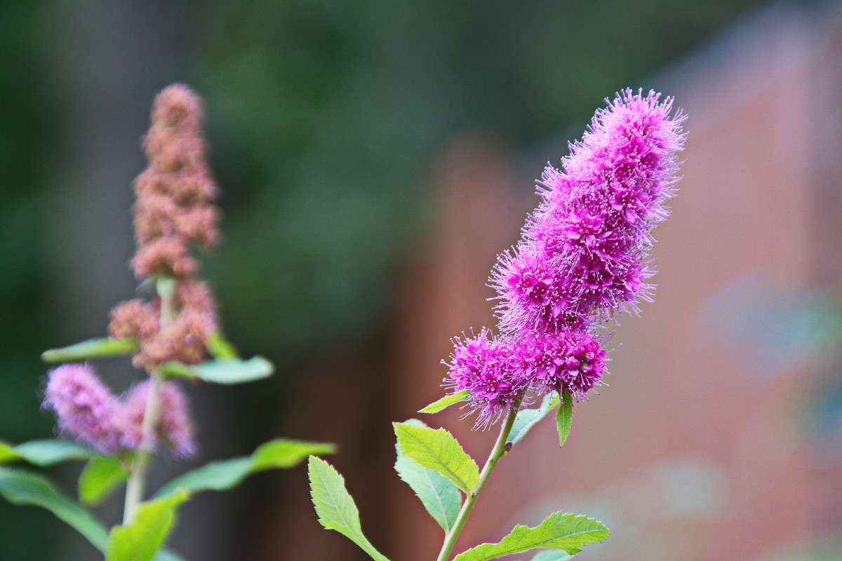 ... ����� vladimir tamoza �� PhotoGeek.ru #��������� #������