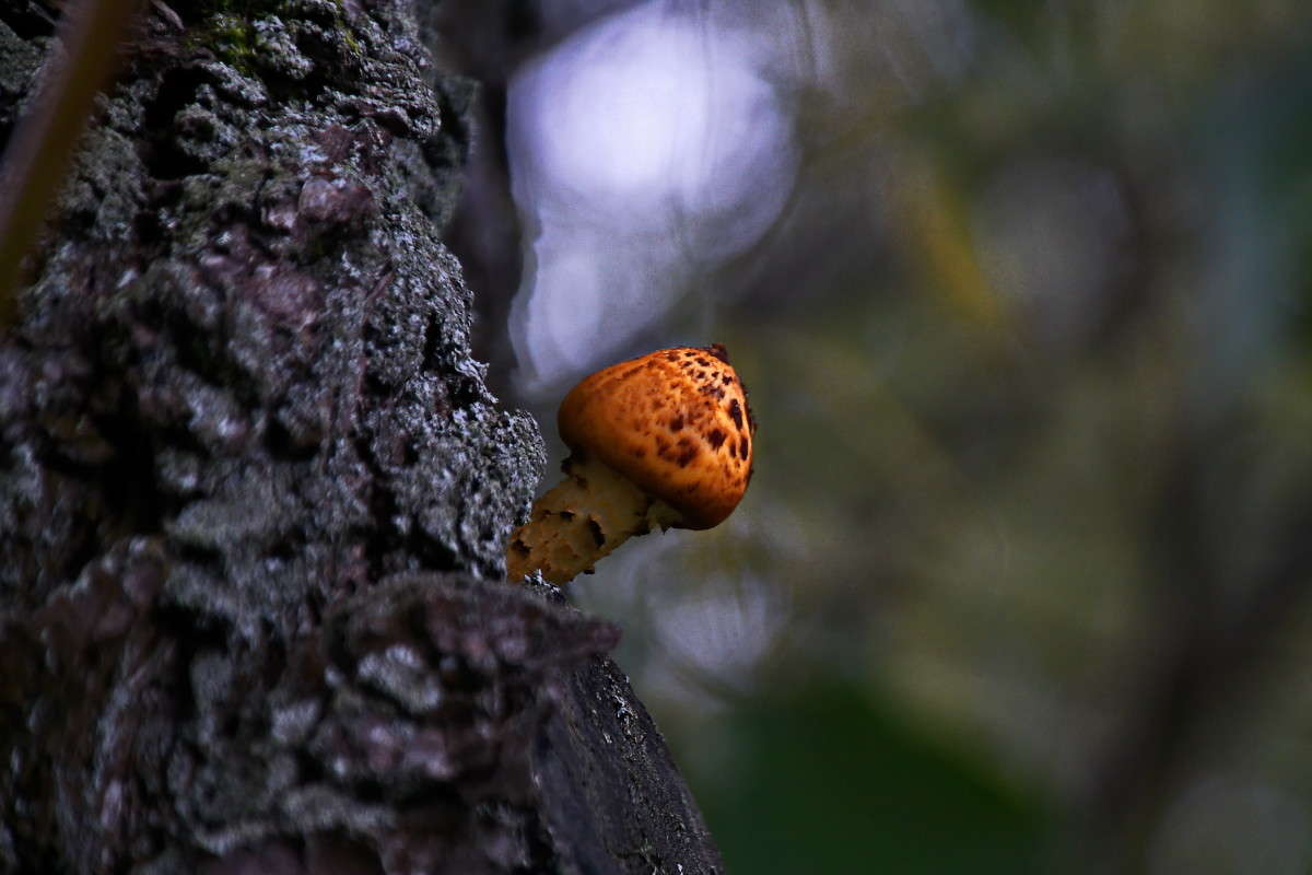 ... ����� vladimir tamoza �� PhotoGeek.ru #������ ��� ������� #��������� #������