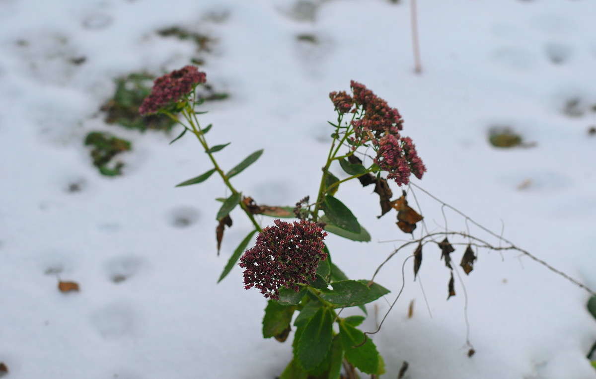 ... ����� vladimir tamoza �� PhotoGeek.ru #������ ��� ������� #��������� #����� ��������