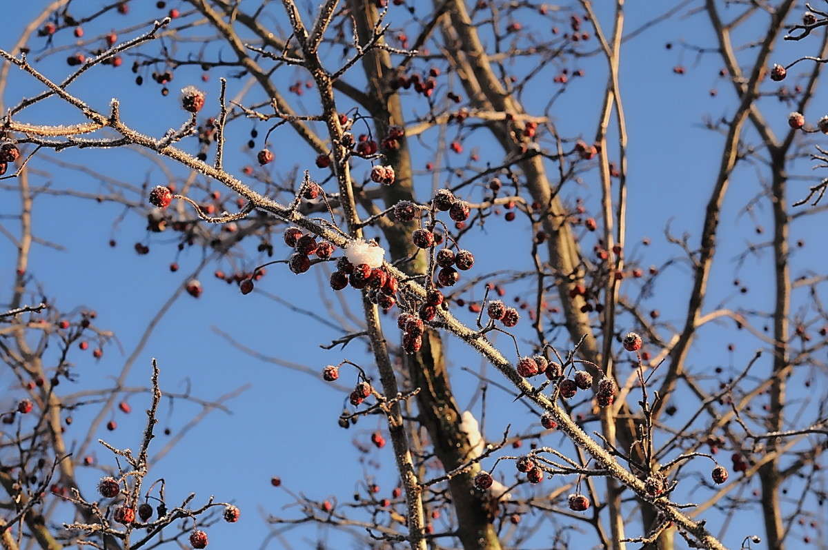 ... ����� vladimir tamoza �� PhotoGeek.ru #������ ��� ������� #��������� #������