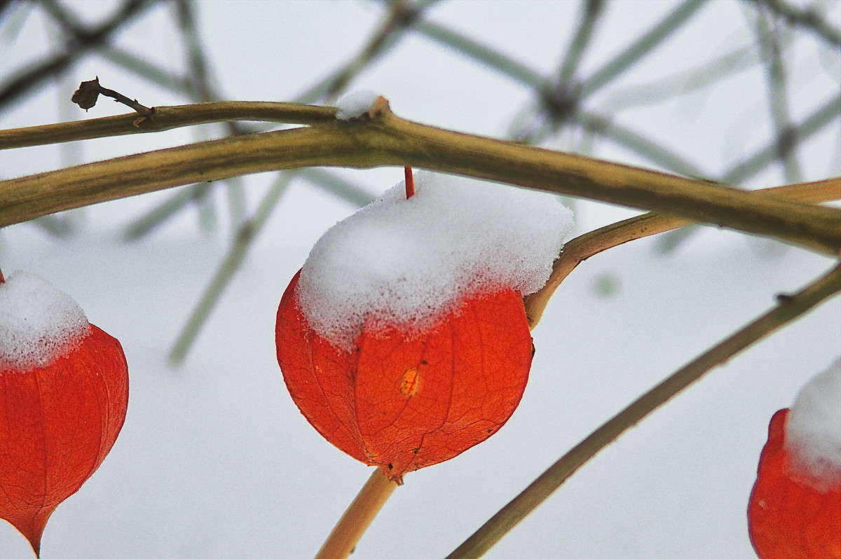 ... ����� vladimir tamoza �� PhotoGeek.ru #������ ��� ������� #������