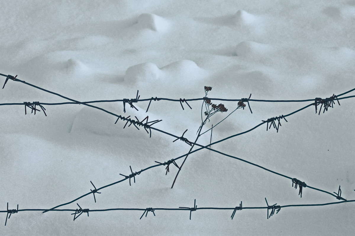 ����... ����� vladimir tamoza �� PhotoGeek.ru #������ ��� ������� #�������� ���������� #������