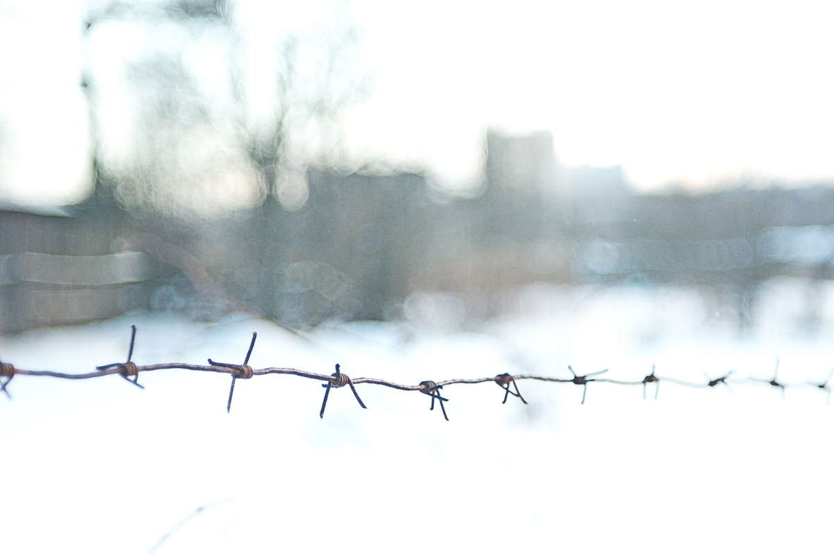 ���� 2... ����� vladimir tamoza �� PhotoGeek.ru #������ ��� ������� #������