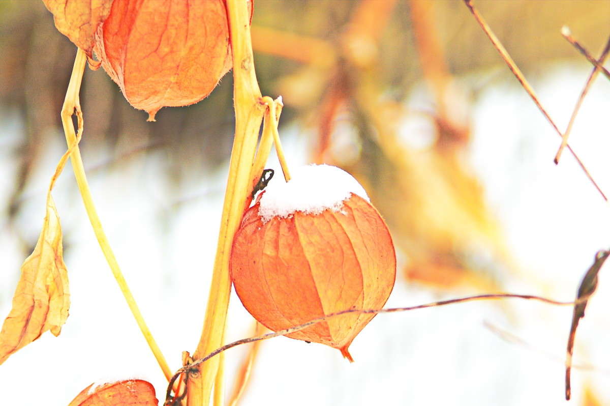 ����3 ����� vladimir tamoza �� PhotoGeek.ru #������ ��� ������� #������