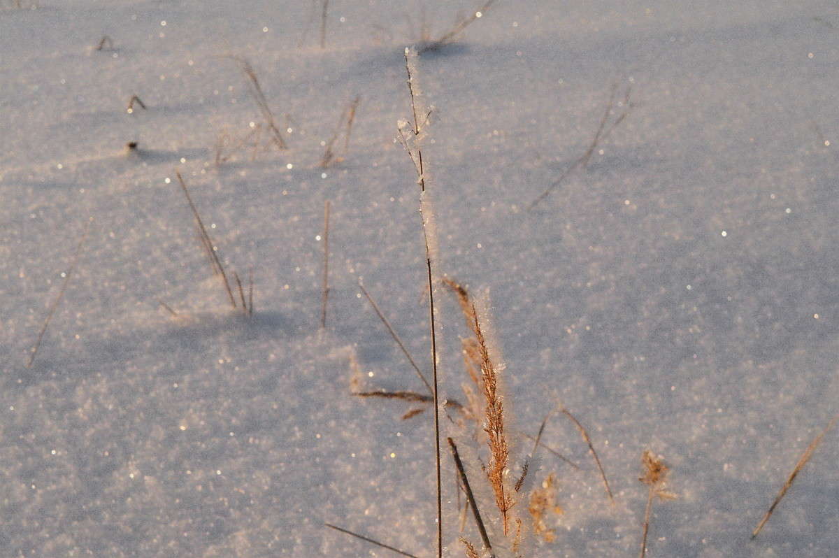 ... ����� vladimir tamoza �� PhotoGeek.ru #������ ��� ������� #������