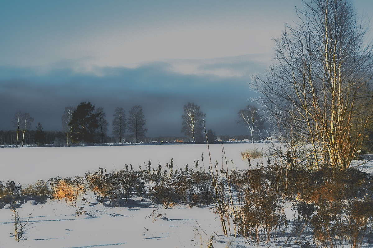 ���� ����� vladimir tamoza �� PhotoGeek.ru #������ ��� ������� #��������� #������