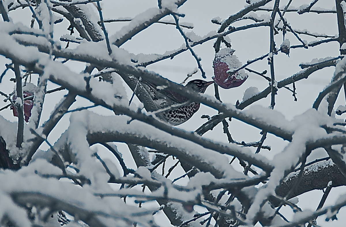 ... ����� vladimir tamoza �� PhotoGeek.ru #������ ��� ������� #��������� #������