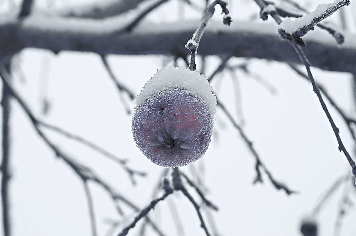 ... ����� vladimir tamoza �� PhotoGeek.ru #������ ��� ������� #��������� #������