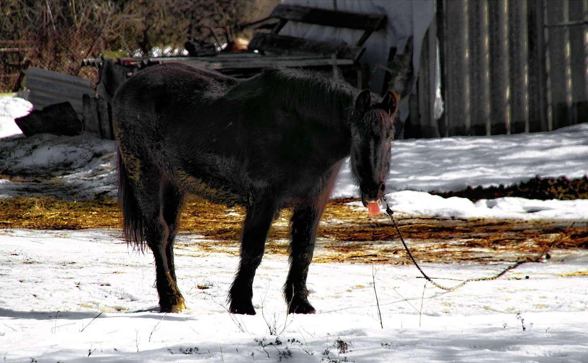 ���������... ����� vladimir tamoza �� PhotoGeek.ru #�������� ��� #��������� #����� ��������