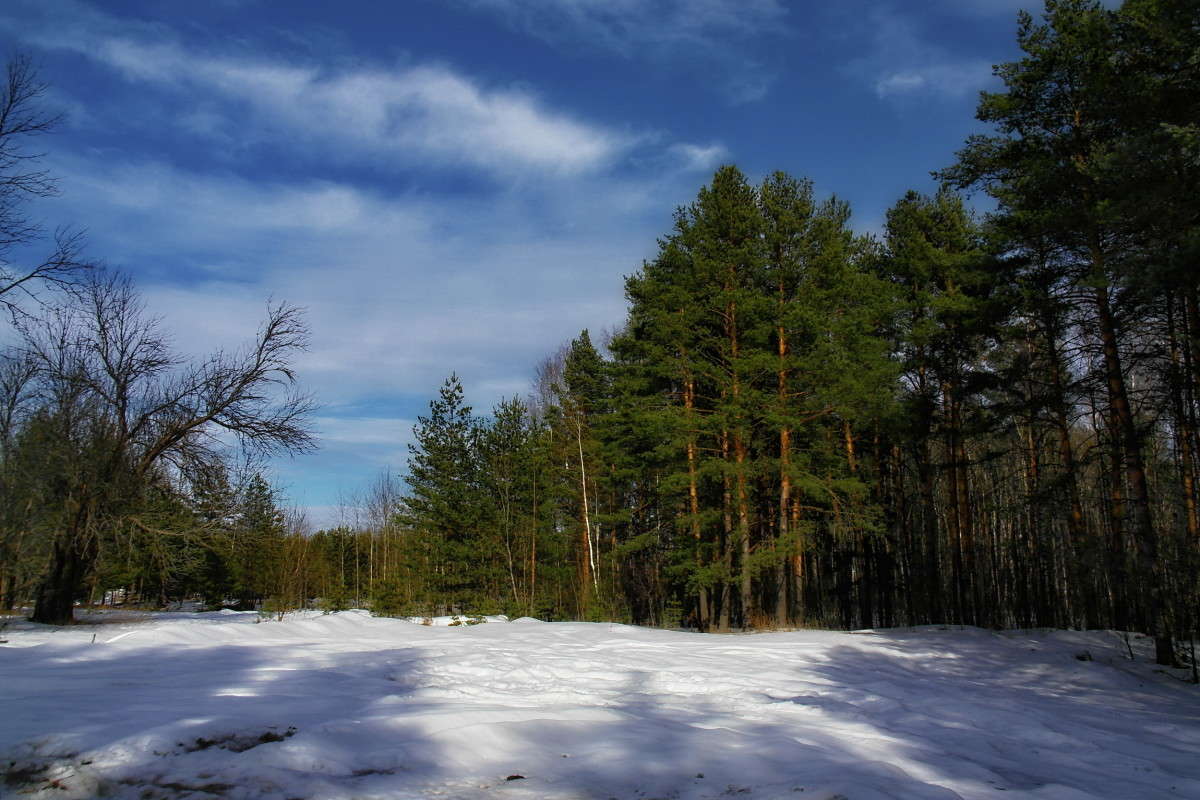 ... ����� vladimir tamoza �� PhotoGeek.ru #������ ��� ������� #���������