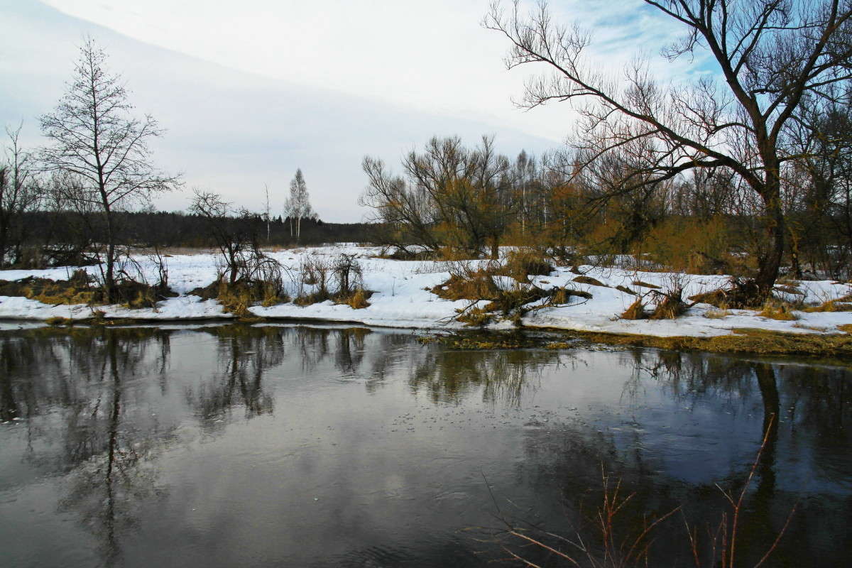 ... ����� vladimir tamoza �� PhotoGeek.ru #������ ��� ������� #��������� #������