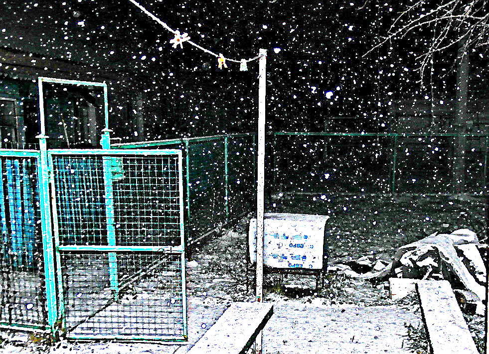 � ���� ����... ����� vladimir tamoza �� PhotoGeek.ru #������ ��� ������� #��������� #������