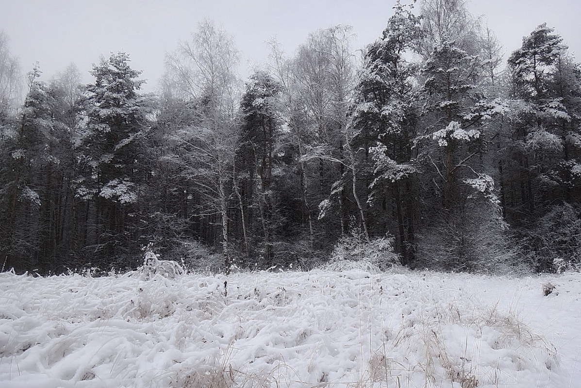 ... ����� vladimir tamoza �� PhotoGeek.ru #������ ��� ������� #��������� #������