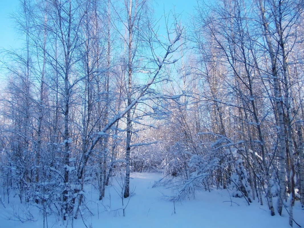 ... ����� vladimir tamoza �� PhotoGeek.ru #������ ��� ������� #��������� #������