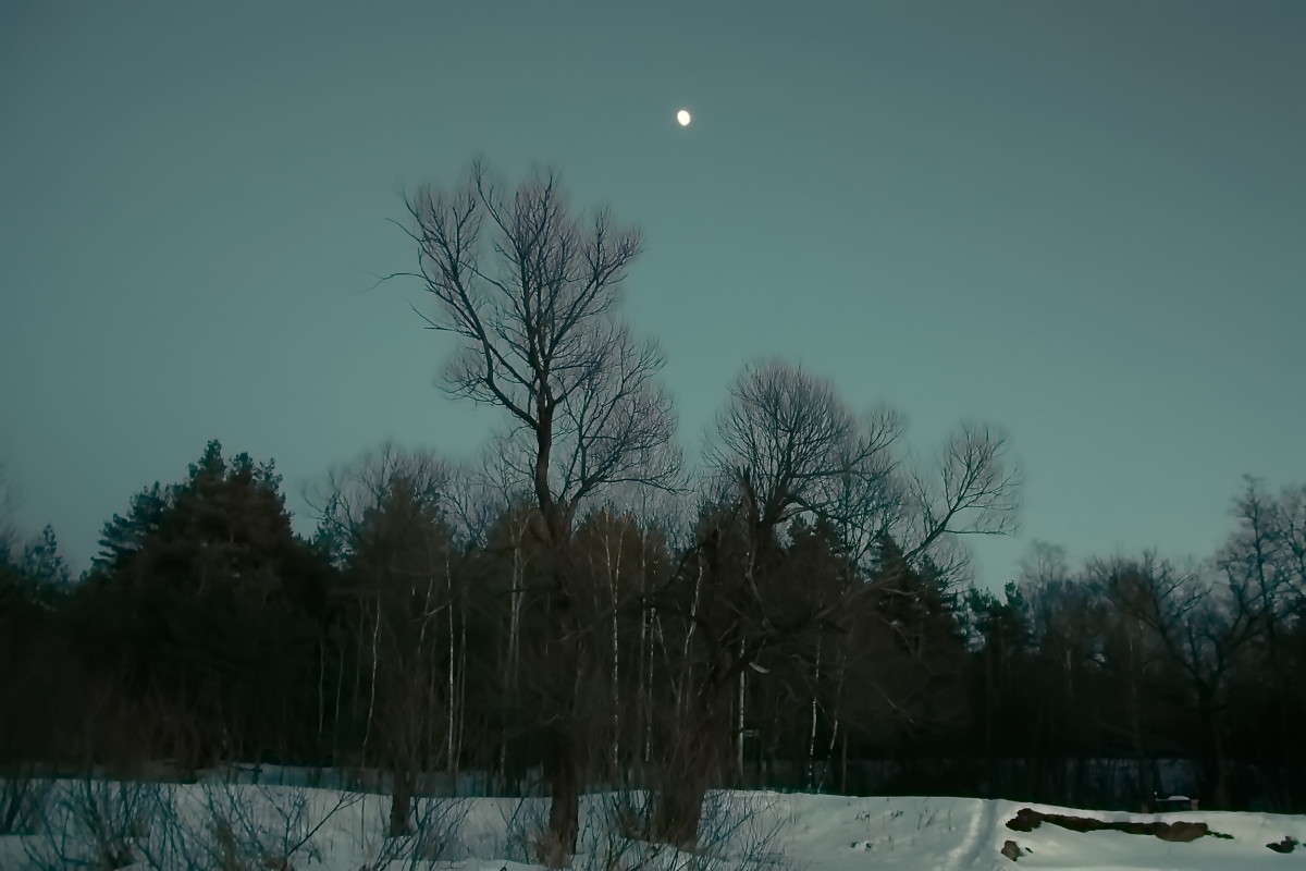 ... ����� vladimir tamoza �� PhotoGeek.ru #������ ��� ������� #��������� #������