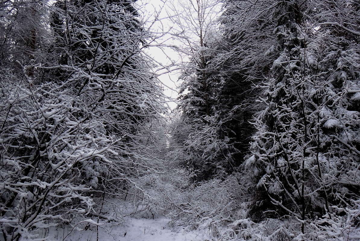 ... ����� vladimir tamoza �� PhotoGeek.ru #������ ��� ������� #��������� #������