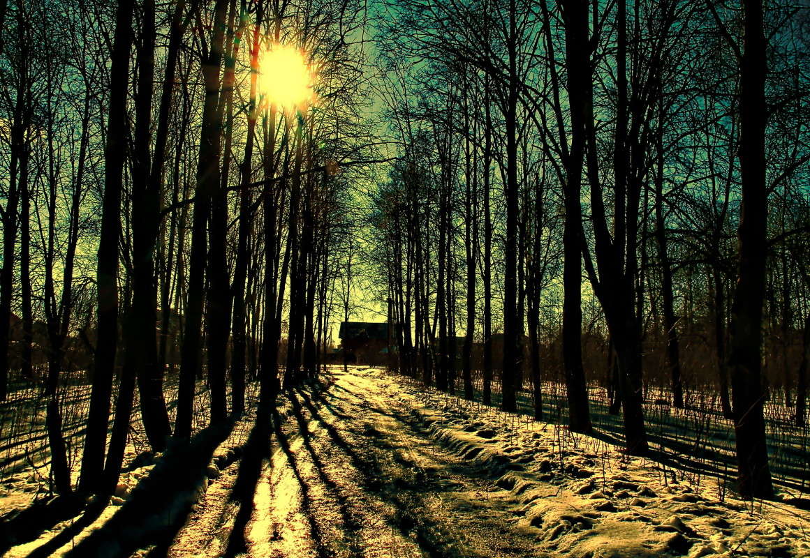 ... ����� vladimir tamoza �� PhotoGeek.ru #������ ��� ������� #��������� #������