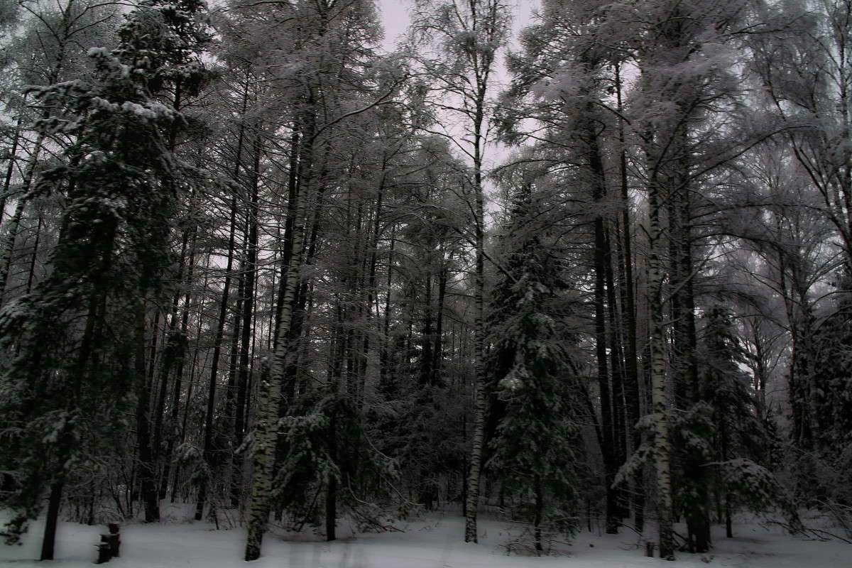 ... ����� vladimir tamoza �� PhotoGeek.ru #������ ��� ������� #��������� #������