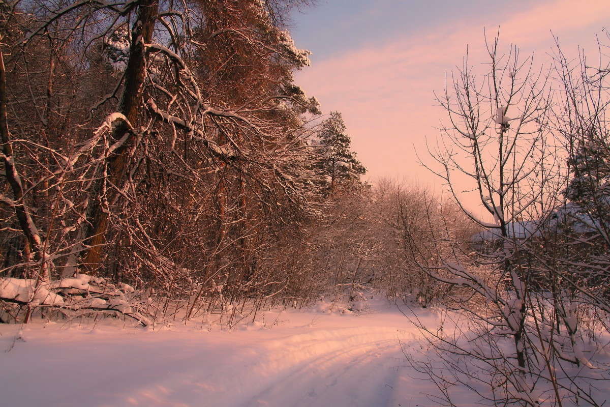 ... ����� vladimir tamoza �� PhotoGeek.ru #������ ��� ������� #��������� #������