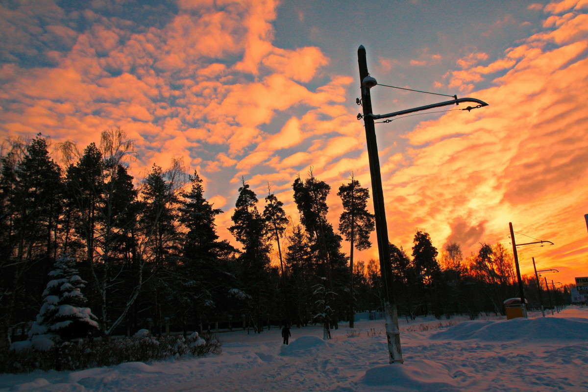 ... ����� vladimir tamoza �� PhotoGeek.ru #������ ��� ������� #��������� #������