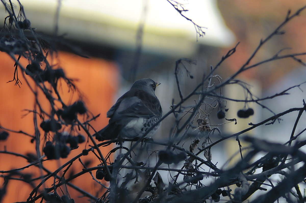 �� �������... ����� vladimir tamoza �� PhotoGeek.ru #�������� ��� #������ ��� ������� #��������� #������ #����� ��������