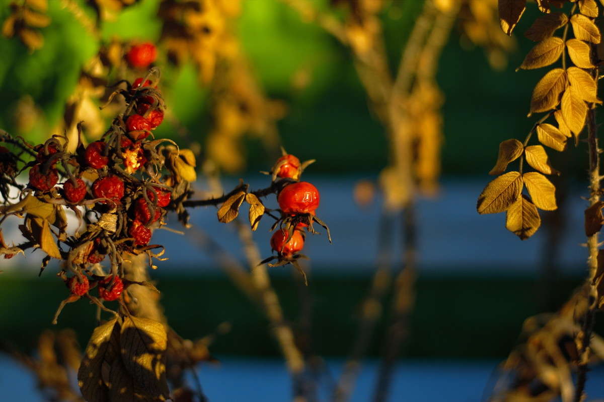 �������� ����� vladimir tamoza �� PhotoGeek.ru #������ ��� ������� #��������� #������