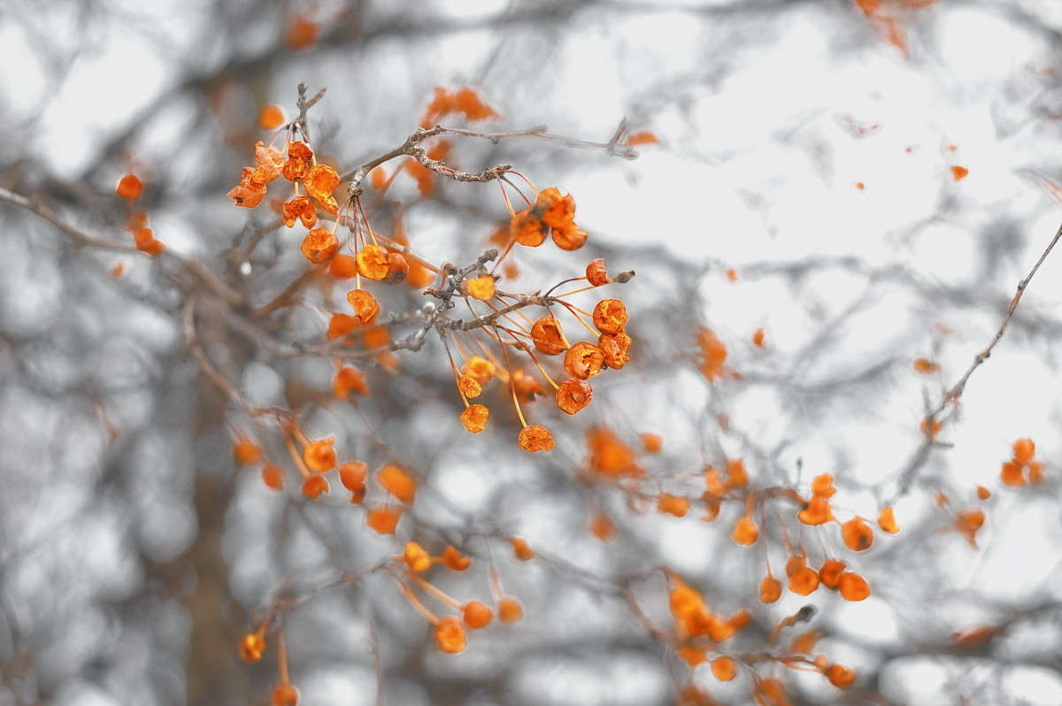 ... ����� vladimir tamoza �� PhotoGeek.ru #������ ��� ������� #����� �������������� #��������� #������