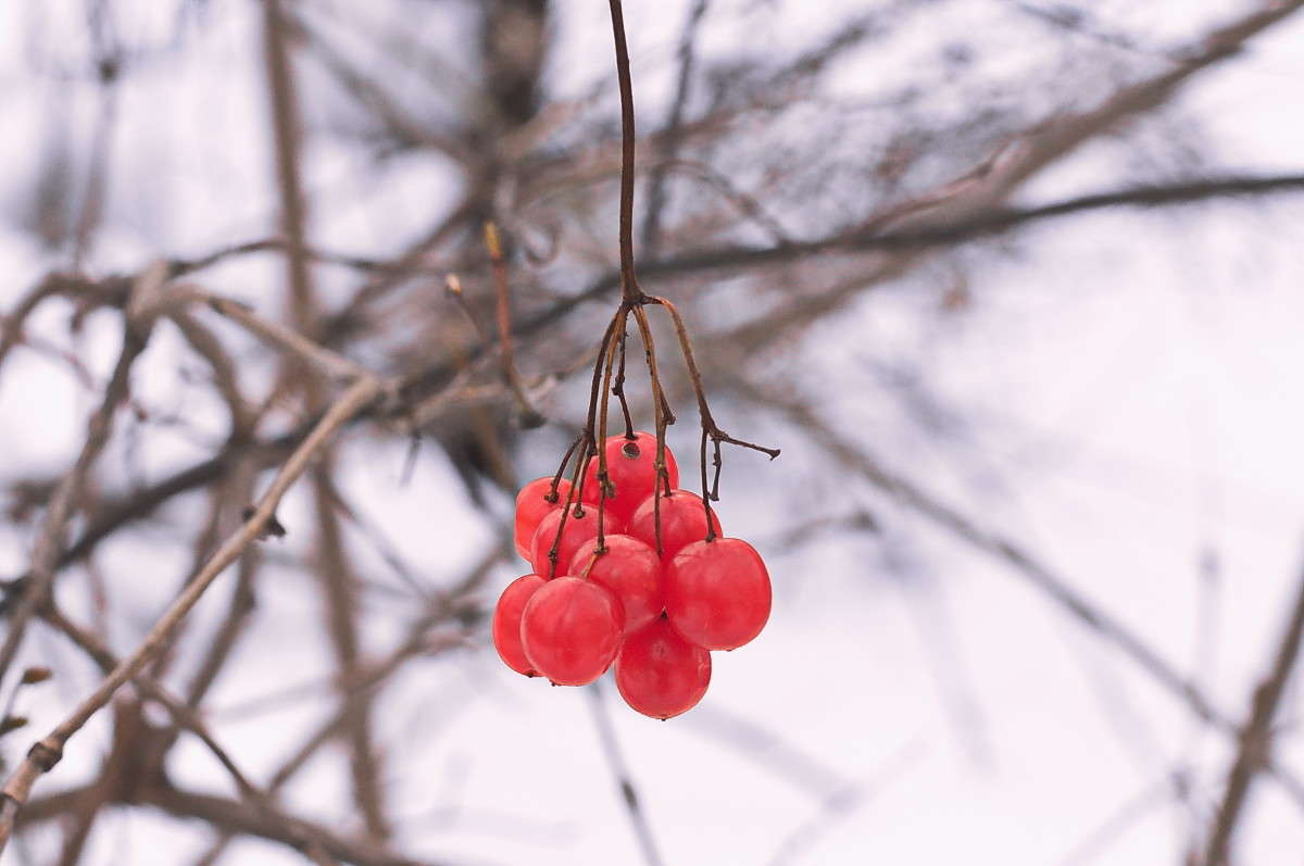 ������.. ����� vladimir tamoza �� PhotoGeek.ru #������ ��� ������� #��������� #������