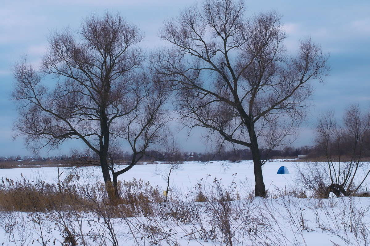 ... ����� vladimir tamoza �� PhotoGeek.ru #������ ��� ������� #��������� #������ #����� ��������