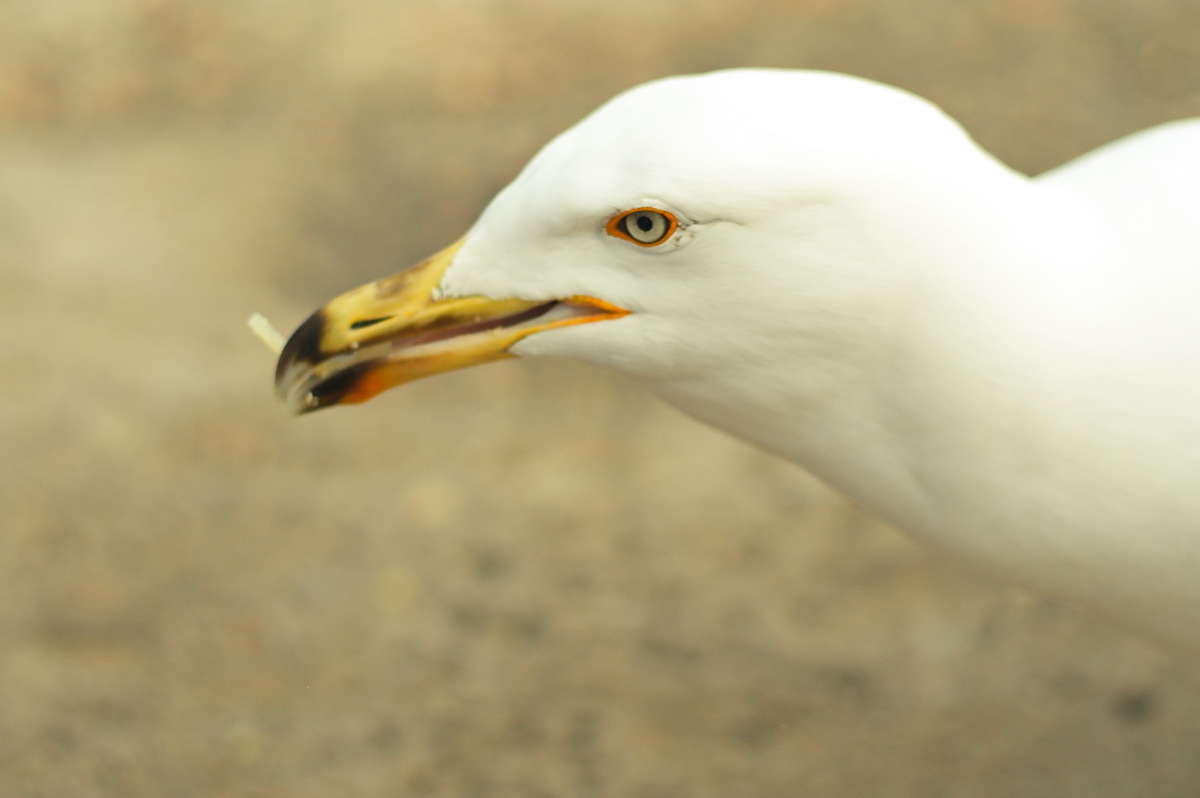 ... ����� vladimir tamoza �� PhotoGeek.ru #�������� ��� #������ ��� ������� #��������� #����� ��������