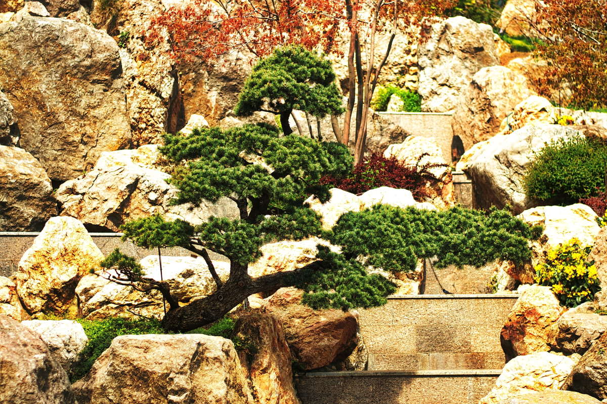 **** ����� vladimir tamoza �� PhotoGeek.ru #������ ��� ������� #��������� #������