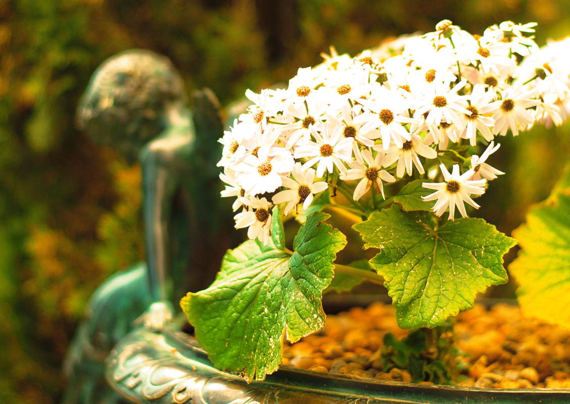 ***** ����� vladimir tamoza �� PhotoGeek.ru #������ ��� ������� #��������� #������